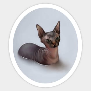 Sphinx cat Sticker